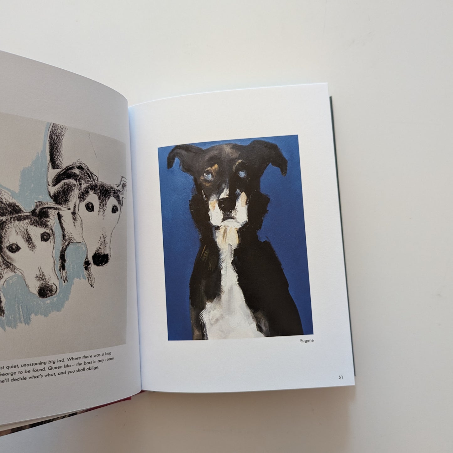 Rescue Dogs Book