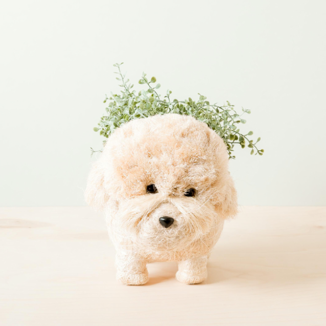 Eco-friendly poodle dog planter made from natural coco coir