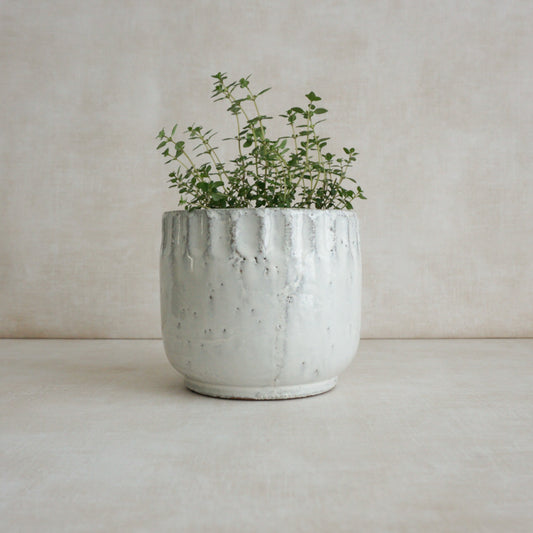 Glazed White Terracotta Planter Pot