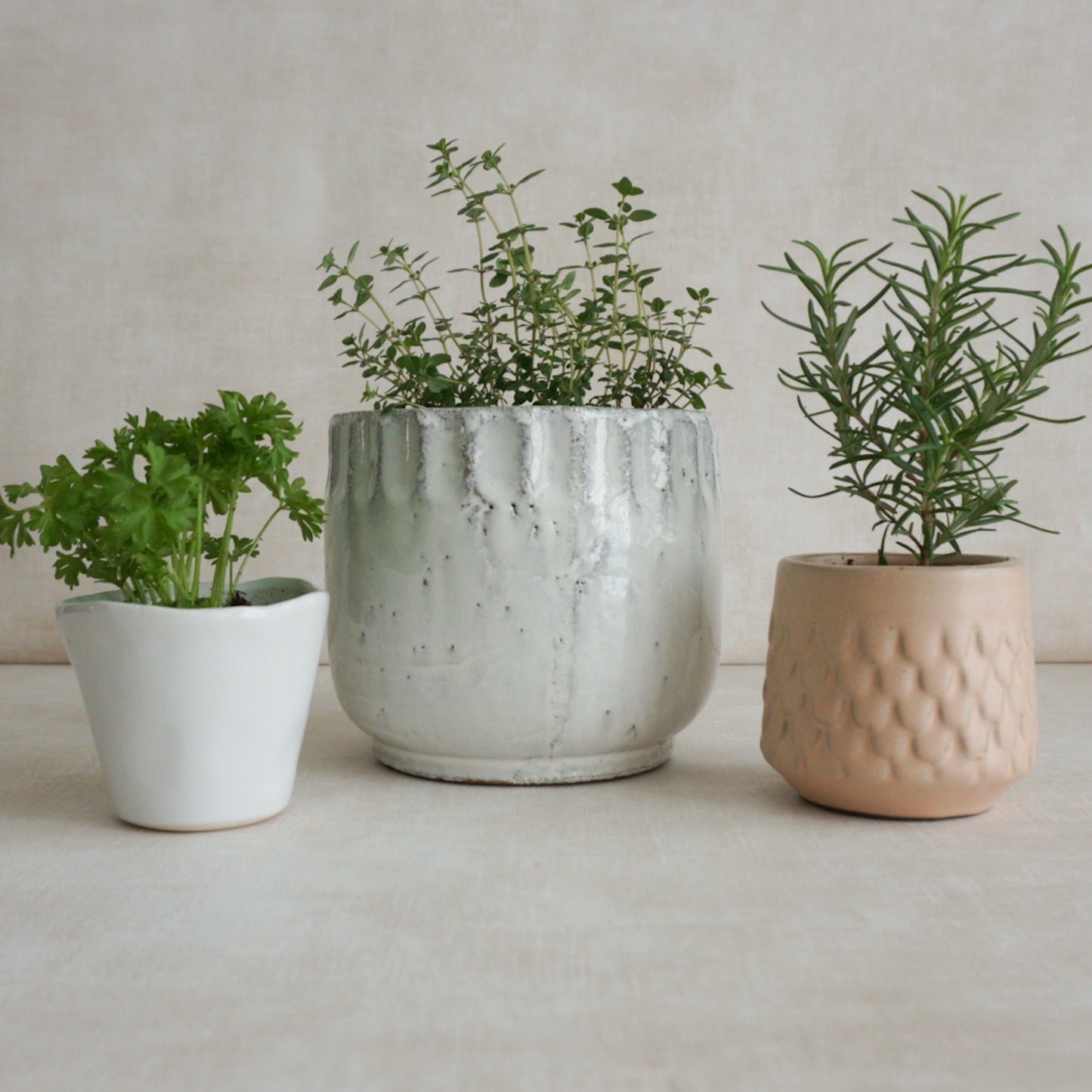 Glazed White Terracotta Planter Pot